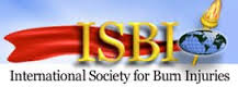 isbi logo